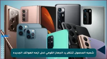 شعبة المحمول تنتظر رد الجهاز القومي لحل أزمة الهواتف الجديدة